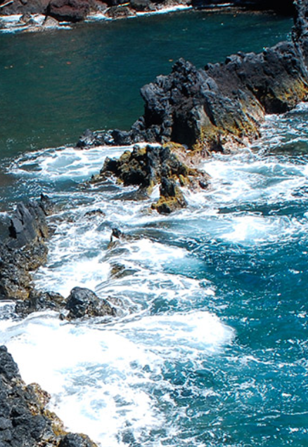 Multi-State Salinity Coalition 2020 Annual Summit
