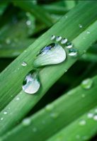 IDE Technologies preseleccionada como Empresa del Año en el sector del agua y Campeona en carbono neto cero en los Global Water Awards 2024